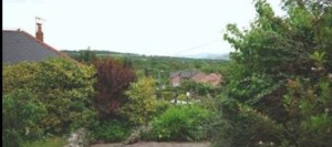 BABC5BCF-C45A-492D-8FDA-E1D5A87AF5A0