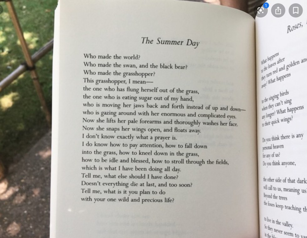 AE1083F5-6D04-44CF-8387-A8CE4BFA747A